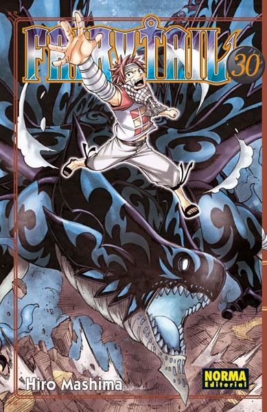 FAIRY TAIL 30 | 9788467911022 | MASHIMA,HIRO | Llibreria L'Altell - Llibreria Online de Banyoles | Comprar llibres en català i castellà online - Llibreria de Girona