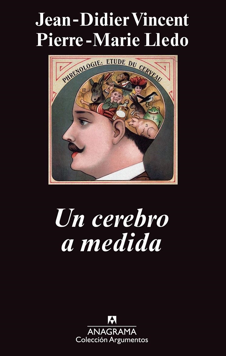 UN CEREBRO A MEDIDA | 9788433963536 | VINCENT, JEAN-DIDIER/LLEDO, PIERRE-MARIE | Llibreria Online de Banyoles | Comprar llibres en català i castellà online