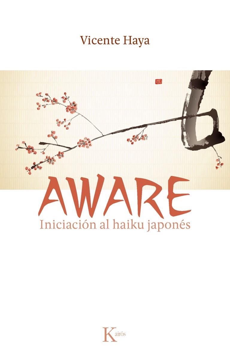 AWARE | 9788499882451 | HAYA, VICENTE | Llibreria Online de Banyoles | Comprar llibres en català i castellà online