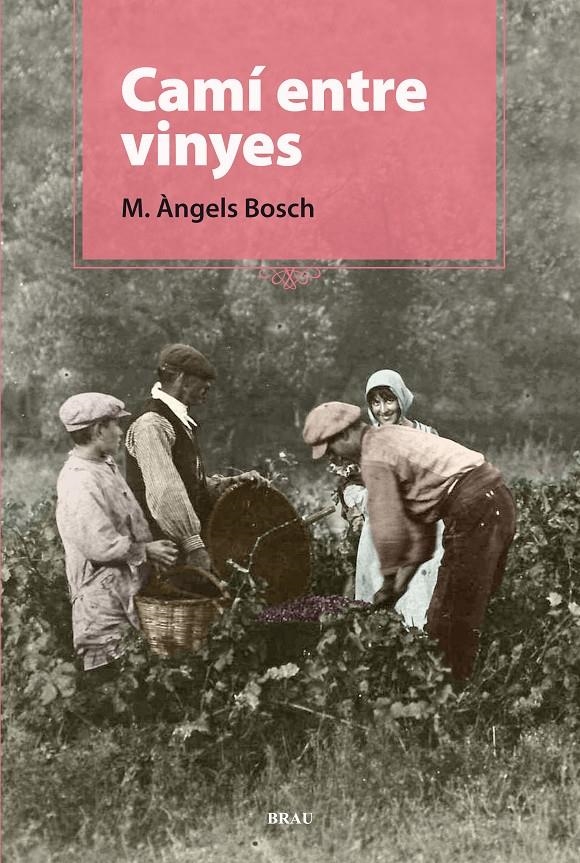 CAMÍ ENTRE VINYES | 9788496905924 | BOSCH CASTELLÓ, M. ÀNGELS | Llibreria Online de Banyoles | Comprar llibres en català i castellà online