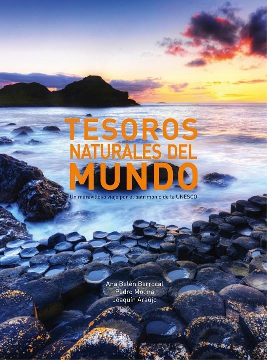 TESOROS NATURALES DEL MUNDO | 9788497859868 | MOLINA HOLGADO, PEDRO/ BERROCAL MENÁRGUEZ, ANA BELÉN | Llibreria Online de Banyoles | Comprar llibres en català i castellà online