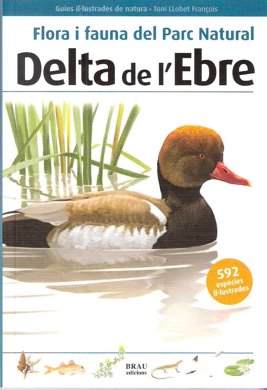 DELTA DE L'EBRA- FAUNA I FLORA DEL PARC NATURAL | 9788496905467 | LLOBET FRANÓIS, TONI | Llibreria Online de Banyoles | Comprar llibres en català i castellà online