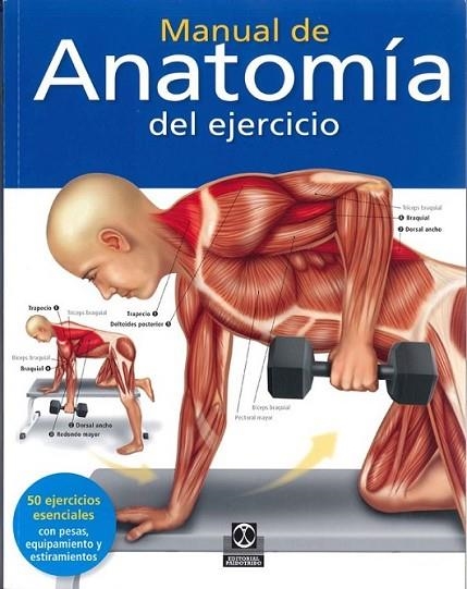 MANUAL DE ANATOMÍA DEL EJERCICO (COLOR) | 9788499104577 | ASHWELL, KEN | Llibreria Online de Banyoles | Comprar llibres en català i castellà online