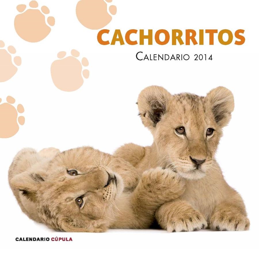 CALENDARIO CACHORRITOS 2014 | 9788448011741 | AA. VV. | Llibreria Online de Banyoles | Comprar llibres en català i castellà online