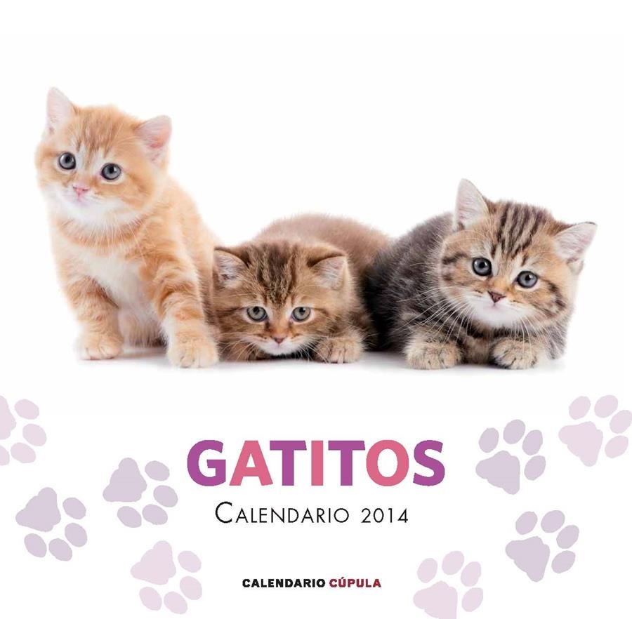 CALENDARIO GATITOS 2014 | 9788448011680 | AA. VV. | Llibreria Online de Banyoles | Comprar llibres en català i castellà online