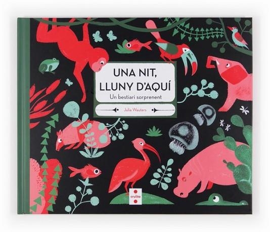 UNA NIT,LLUNY D'AQUI | 9788466131674 | WAUTERS, JULIA | Llibreria Online de Banyoles | Comprar llibres en català i castellà online