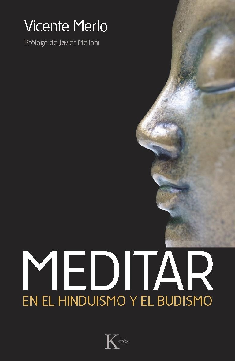 MEDITAR | 9788499883113 | MERLO LILLO, VICENTE | Llibreria Online de Banyoles | Comprar llibres en català i castellà online