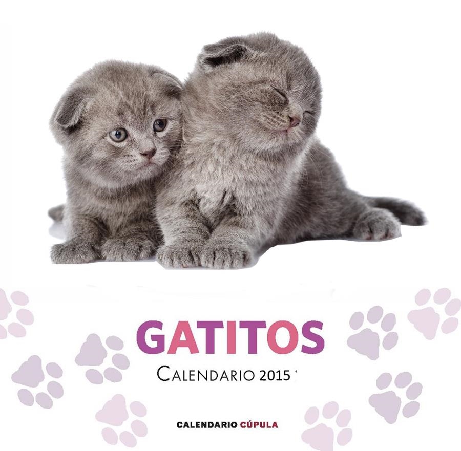 CALENDARIO GATITOS 2015 | 9788448019730 | AA. VV. | Llibreria Online de Banyoles | Comprar llibres en català i castellà online