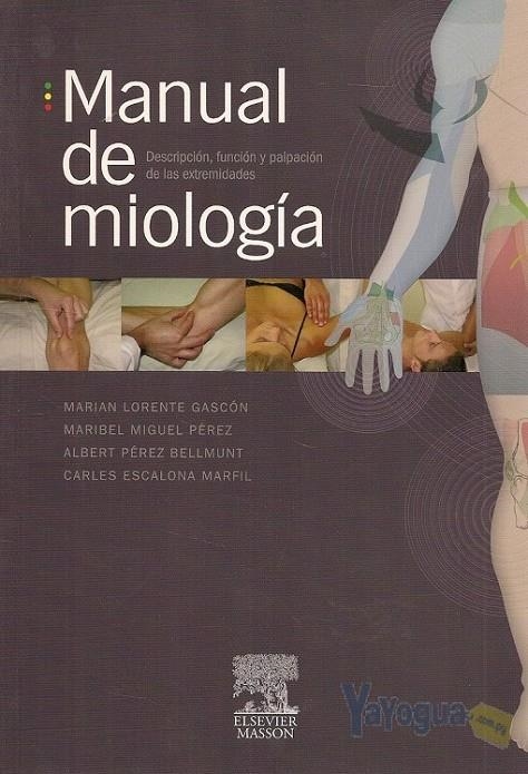 MANUAL DE MIOLOGIA, DESCRIPCION, FUNCIÓN Y.. | 9788445817582 | ALBERT PEREZ BELLMUNT - MARIBEL MIGUEL PEREZ | Llibreria Online de Banyoles | Comprar llibres en català i castellà online