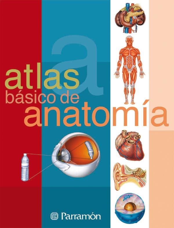 ATLAS BASICO DE ANATOMIA | 9788434223141 | CASSAN, ADOLFO/MUÑOZ TENLLADO, ANTONIO | Llibreria Online de Banyoles | Comprar llibres en català i castellà online