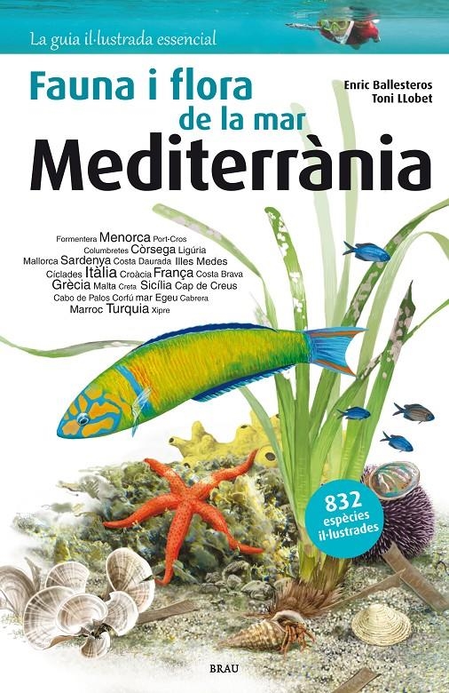 FAUNA I FLORA DE LA MAR MEDITERRÀNIA | 9788415885252 | BALLESTEROS SAGARRA, ENRIC | Llibreria Online de Banyoles | Comprar llibres en català i castellà online