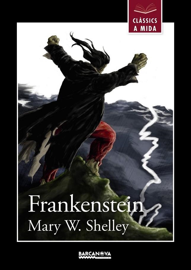 FRANKENSTEIN | 9788448934927 | SHELLEY, MARY W. | Llibreria L'Altell - Llibreria Online de Banyoles | Comprar llibres en català i castellà online - Llibreria de Girona