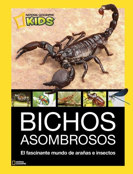 BICHOS ASOMBROSOS | 9788482986098 | REDACCION RBA LIBROS, S.A. | Llibreria Online de Banyoles | Comprar llibres en català i castellà online