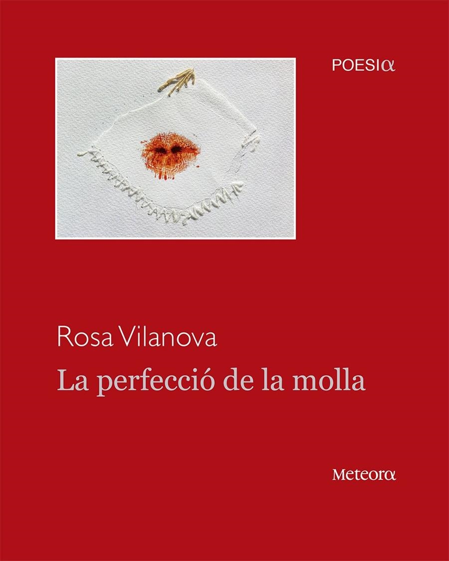 PERFECCIÓ DE LA MOLLA, LA | 9788494362941 | VILANOVA TANÉ, ROSA | Llibreria Online de Banyoles | Comprar llibres en català i castellà online