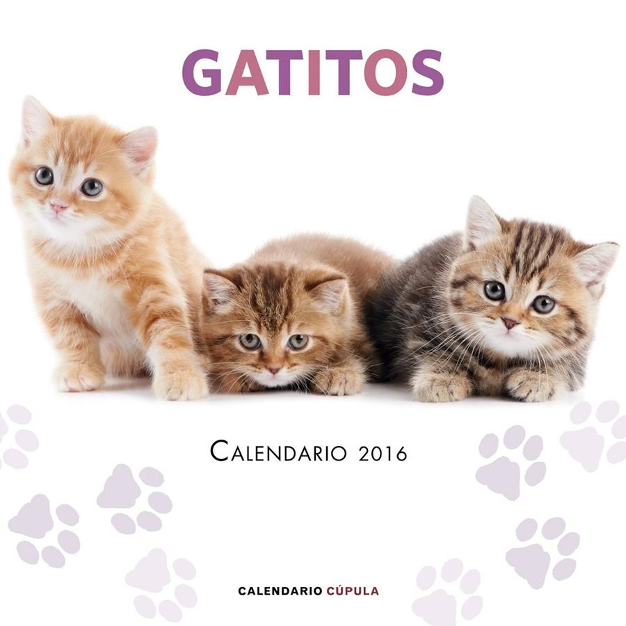 CALENDARI GATITOS 2016 | 9788448021719 | AA. VV. | Llibreria Online de Banyoles | Comprar llibres en català i castellà online