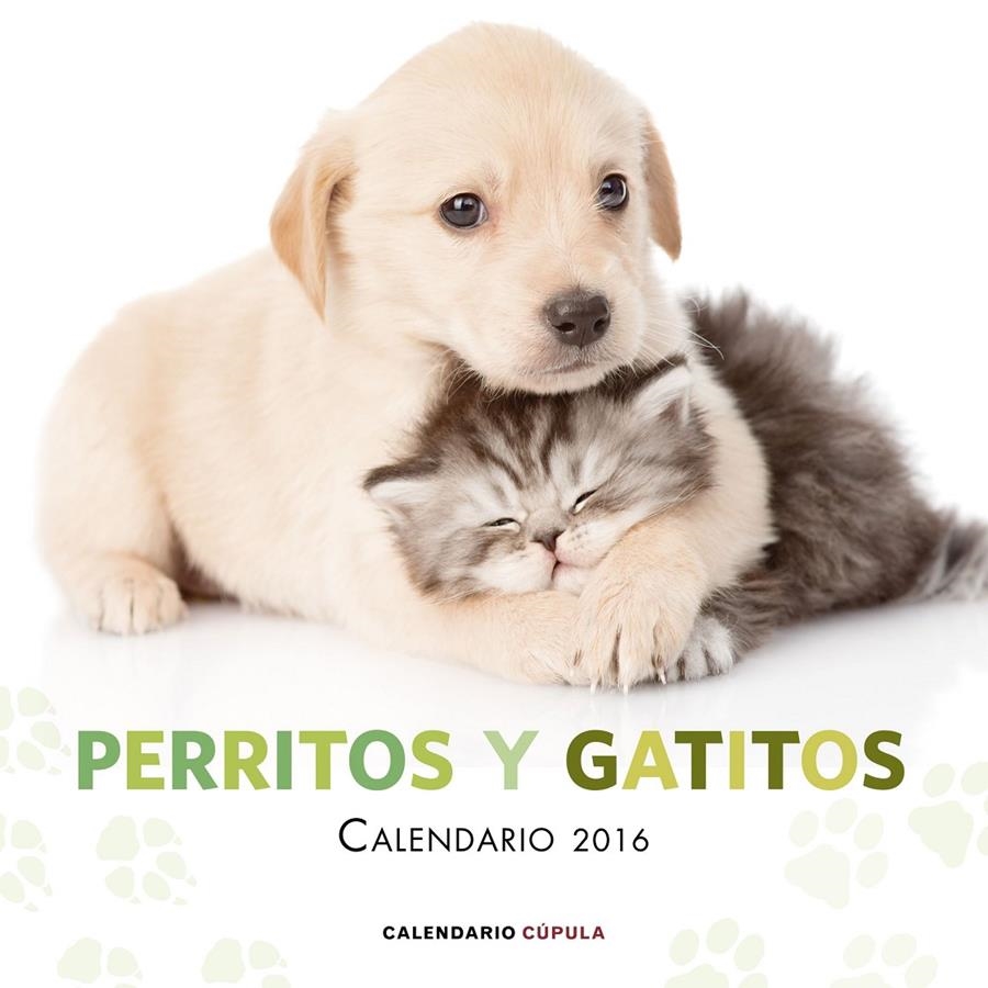 CALENDARI PERRITOS Y GATITOS 2016 | 9788448021726 | AA. VV. | Llibreria Online de Banyoles | Comprar llibres en català i castellà online