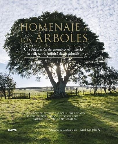 HOMENAJE A LOS ÁRBOLES | 9788416138562 | KINGSBURY, NOEL/JONES, ANDREA | Llibreria Online de Banyoles | Comprar llibres en català i castellà online