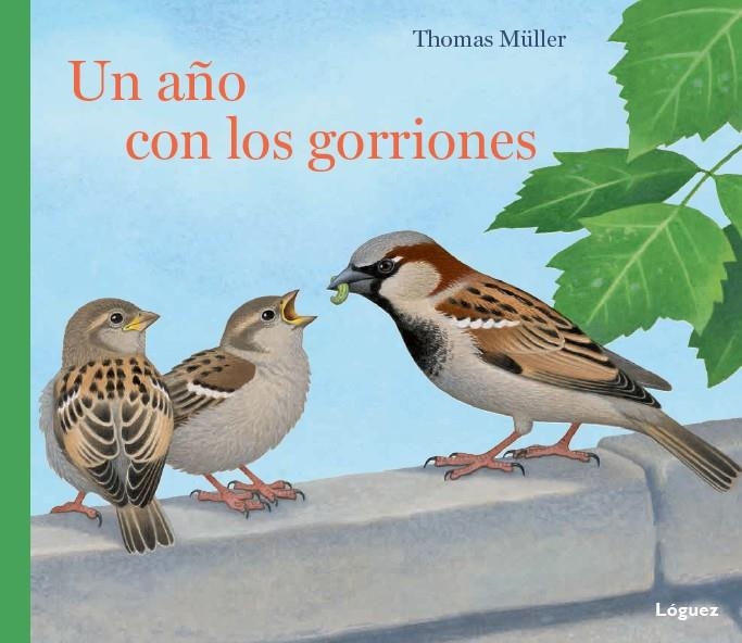 UN AÑO CON LOS GORRIONES | 9788494429507 | RODRÍGUEZ LÓPEZ, LORENZO | Llibreria L'Altell - Llibreria Online de Banyoles | Comprar llibres en català i castellà online - Llibreria de Girona