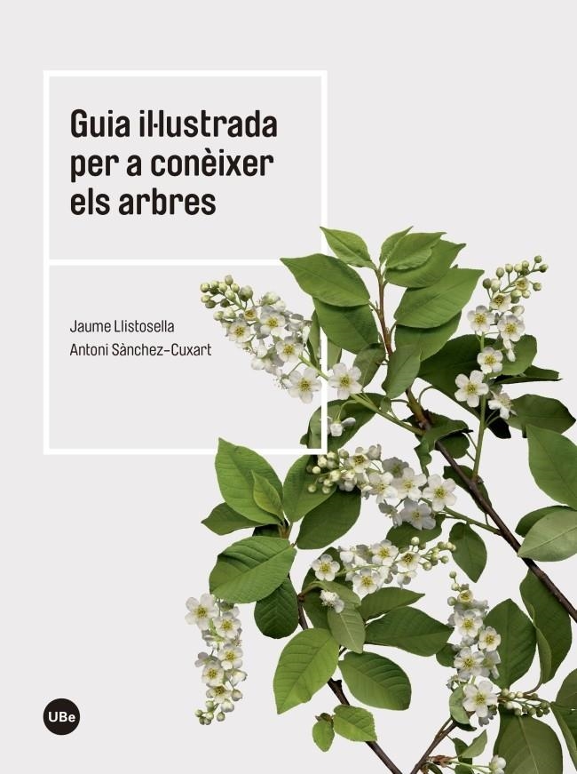 GUIA IL·LUSTRADA PER A CONÈIXER ELS ARBRES | 9788447542444 | LLISTOSELLA, JAUME/SANCHEZ CUIXART, ANTONI | Llibreria L'Altell - Llibreria Online de Banyoles | Comprar llibres en català i castellà online - Llibreria de Girona