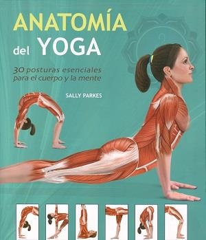 ANATOMÍA DEL YOGA. 30 POSTURAS ESENCIALES PARA EL CUERPO Y LA MENTE | 9789089986207 | PARKES, SALLY | Llibreria Online de Banyoles | Comprar llibres en català i castellà online