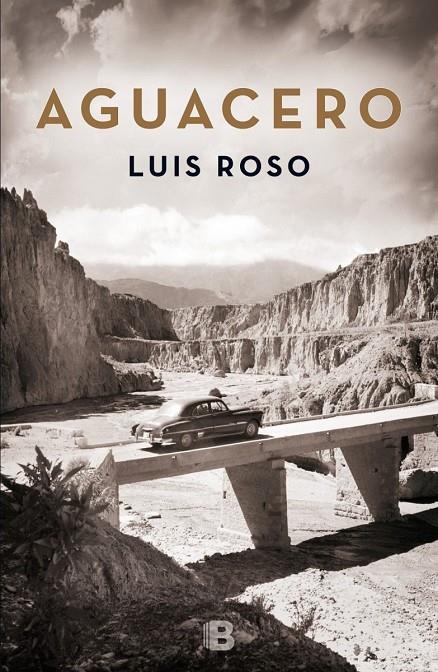 AGUACERO | 9788466659215 | ROSO, LUIS | Llibreria Online de Banyoles | Comprar llibres en català i castellà online