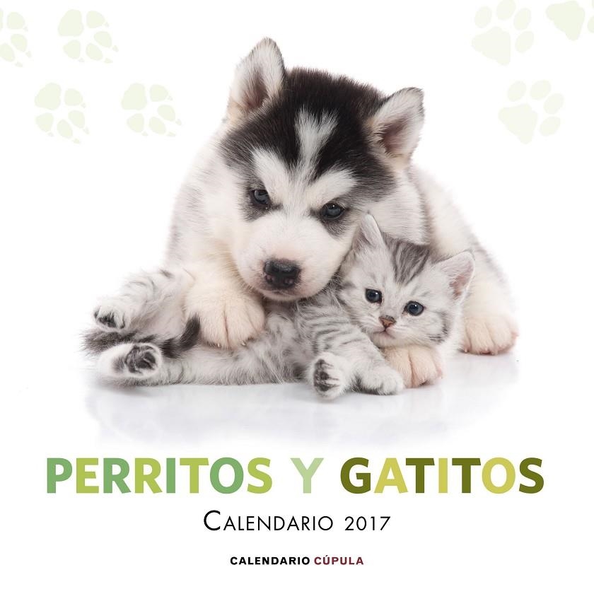 CALENDARIO PERRITOS Y GATITOS 2017 | 9788448022600 | AA. VV. | Llibreria Online de Banyoles | Comprar llibres en català i castellà online