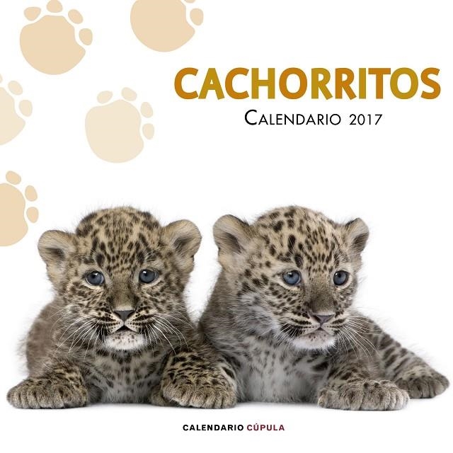 CALENDARIO CACHORRITOS 2017 | 9788448022617 | AA. VV. | Llibreria Online de Banyoles | Comprar llibres en català i castellà online