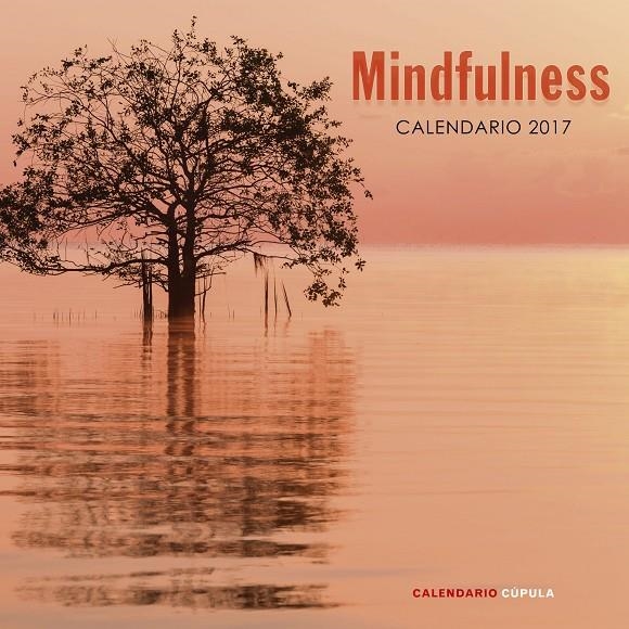 CALENDARIO MINDFULNESS 2017 | 9788448022662 | AA. VV. | Llibreria Online de Banyoles | Comprar llibres en català i castellà online