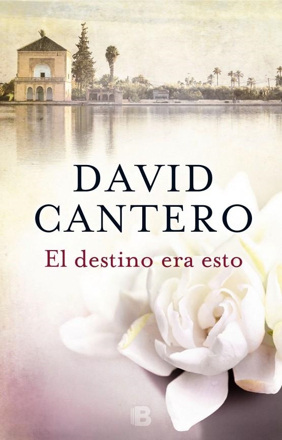 EL DESTINO ERA ESTO | 9788466660068 | CANTERO, DAVID | Llibreria Online de Banyoles | Comprar llibres en català i castellà online