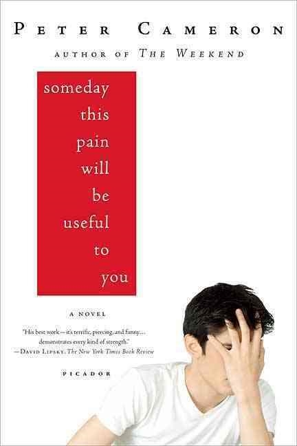 SOMEDAY THIS PAIN WILL BE USEFUL TO YOU | 9780312428167 | CAMERON, PETER | Llibreria Online de Banyoles | Comprar llibres en català i castellà online