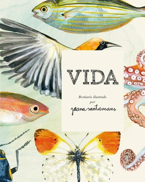 VIDA. BESTIARIO ILUSTRADO POR JOANA SANTAMANS | 9788416670017 | SANTAMANS, JOANA | Llibreria Online de Banyoles | Comprar llibres en català i castellà online