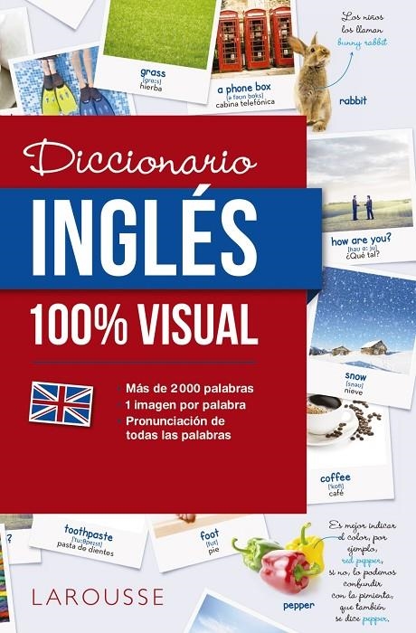 DICCIONARIO DE INGLÉS 100% VISUAL | 9788416641772 | LAROUSSE EDITORIAL | Llibreria Online de Banyoles | Comprar llibres en català i castellà online