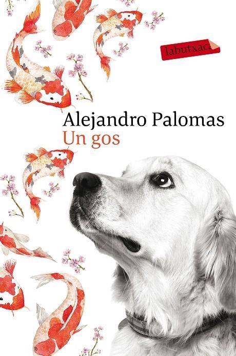 UN GOS | 9788416600625 | ALEJANDRO PALOMAS | Llibreria Online de Banyoles | Comprar llibres en català i castellà online