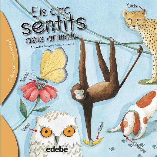 ELS CINC SENTITS DELS ANIMALS | 9788468329635 | ALGARRA ALEJAND | Llibreria Online de Banyoles | Comprar llibres en català i castellà online