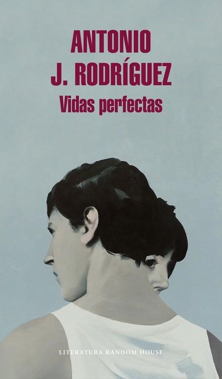 VIDAS PERFECTAS | 9788439732891 | RODRÍGUEZ, ANTONIO J. | Llibreria Online de Banyoles | Comprar llibres en català i castellà online