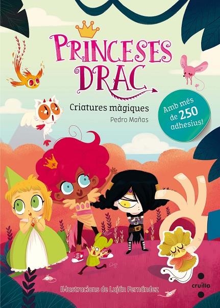 PRINCESES DRAC. CRIATURES MÀGIQUES | 9788466143158 | MAÑAS ROMERO, PEDRO | Llibreria Online de Banyoles | Comprar llibres en català i castellà online