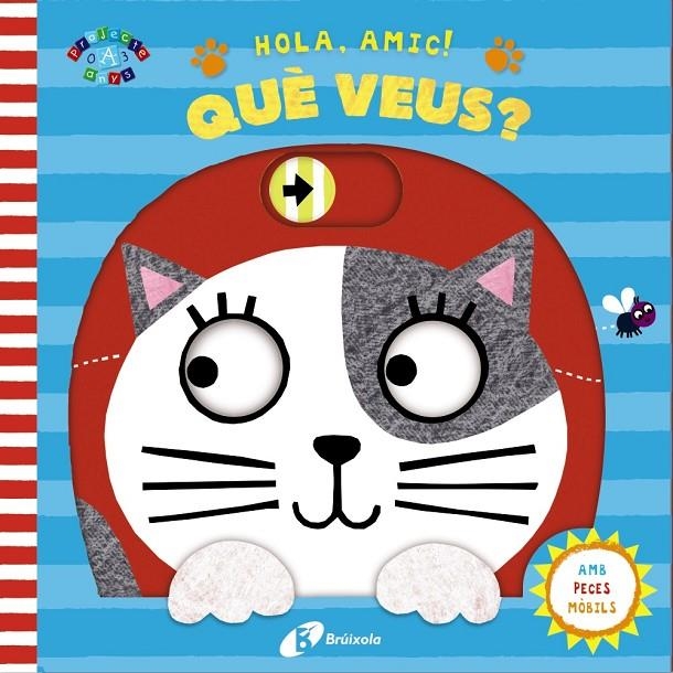 HOLA, AMIC! QUÈ VEUS? | 9788499068039 | VARIOS | Llibreria Online de Banyoles | Comprar llibres en català i castellà online