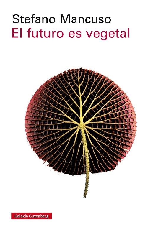 FUTURO ES VEGETAL, EL | 9788417088170 | MANCUSO, STEFANO | Llibreria Online de Banyoles | Comprar llibres en català i castellà online