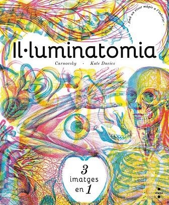 C-IL ·LUMINATOMIA | 9788466143240 | CARNOVSKY,/DAVIES, KATE | Llibreria Online de Banyoles | Comprar llibres en català i castellà online