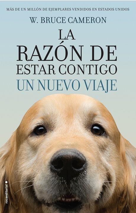 LA RAZÓN DE ESTAR CONTIGO. UN NUEVO VIAJE | 9788416867912 | CAMERON, W. BRUCE | Llibreria Online de Banyoles | Comprar llibres en català i castellà online