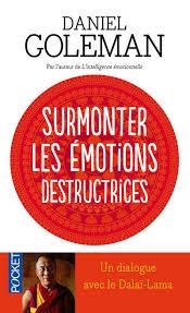 SURMONTER LES ÉMOTIONS DESTRUCTRICES | 9782266146142 | GOLEMAN, DANIEL | Llibreria Online de Banyoles | Comprar llibres en català i castellà online