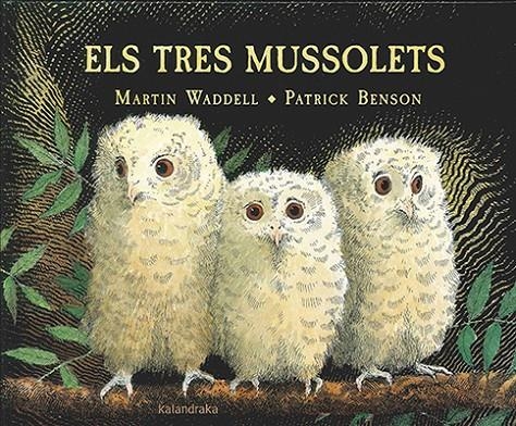 TRES MUSSOLETS, ELS | 9788416804191 | WADDELL, MARTIN | Llibreria L'Altell - Llibreria Online de Banyoles | Comprar llibres en català i castellà online - Llibreria de Girona