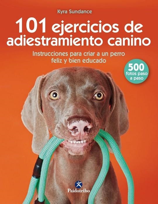 101 EJERCICIOS DE ENTRENAMIENTO CANINO | 9788499107332 | SUNDANCE, KYRA | Llibreria Online de Banyoles | Comprar llibres en català i castellà online