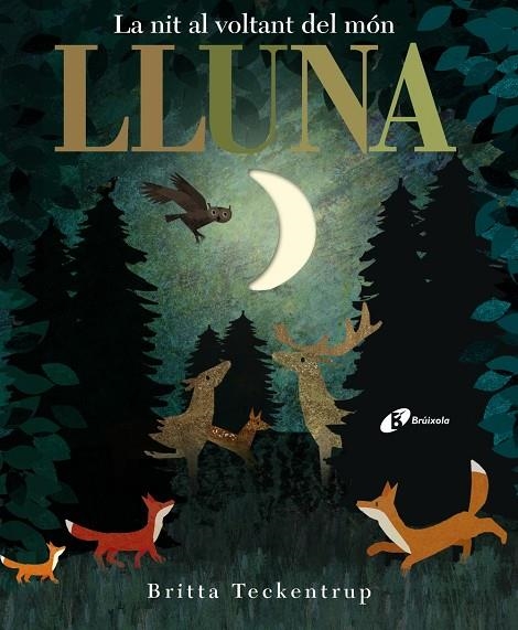 LLUNA | 9788499068497 | HEGARTY, PATRICIA | Llibreria Online de Banyoles | Comprar llibres en català i castellà online