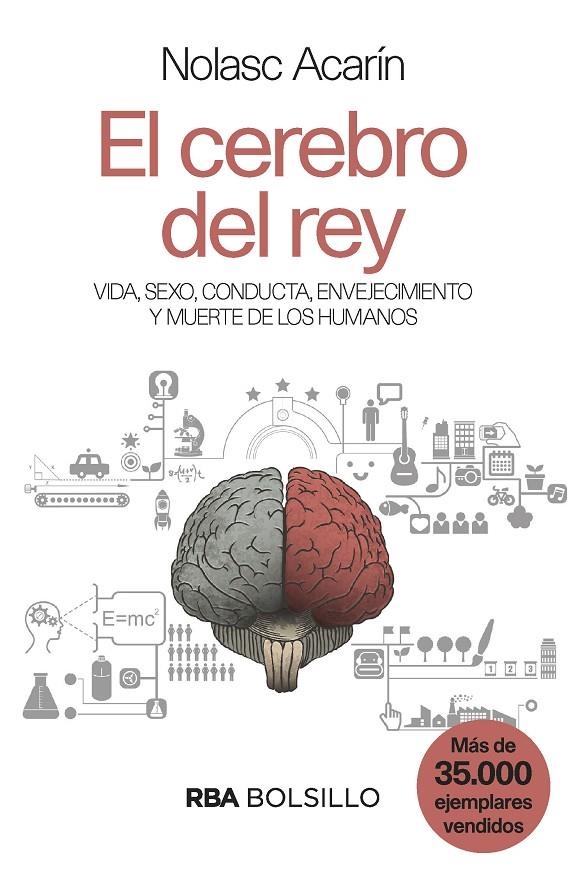 EL CEREBRO DEL REY (BOLSILLO) | 9788490569528 | ACARIN TUSELL, NOLASC | Llibreria Online de Banyoles | Comprar llibres en català i castellà online