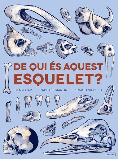 DE QUI ÉS AQUEST ESQUELET? | 9788494731860 | CAP, HENRI/MARTÍN, RAPHAËL | Llibreria Online de Banyoles | Comprar llibres en català i castellà online