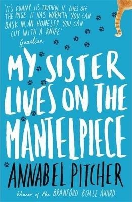 MY SISTER LIVES ON THE MANTELPIECE | 9781780621869 | PITCHER ANNABEL | Llibreria Online de Banyoles | Comprar llibres en català i castellà online