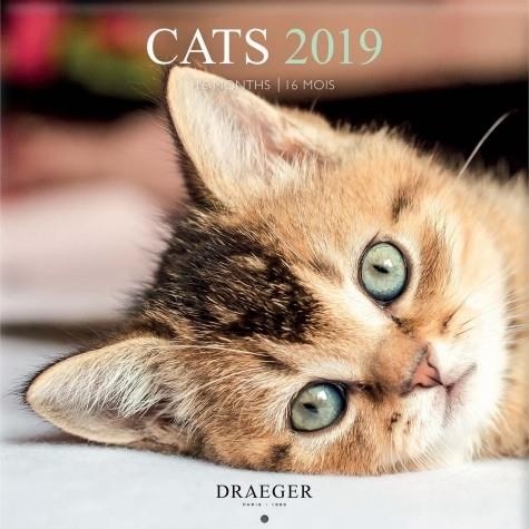 CALENDARI CATS 2019 16 MESOS DRAEGER | 3045677930912 | DRAEGER | Llibreria Online de Banyoles | Comprar llibres en català i castellà online