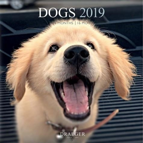 CALENDARI DOGS 2019 16 MESOS | 3045677930929 | DRAEGER | Llibreria Online de Banyoles | Comprar llibres en català i castellà online