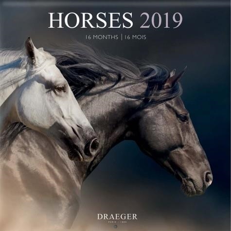 CALENDARI HORSES 2019 16 MESOS DRAEGER | 3045677930936 | DRAEGER | Llibreria Online de Banyoles | Comprar llibres en català i castellà online